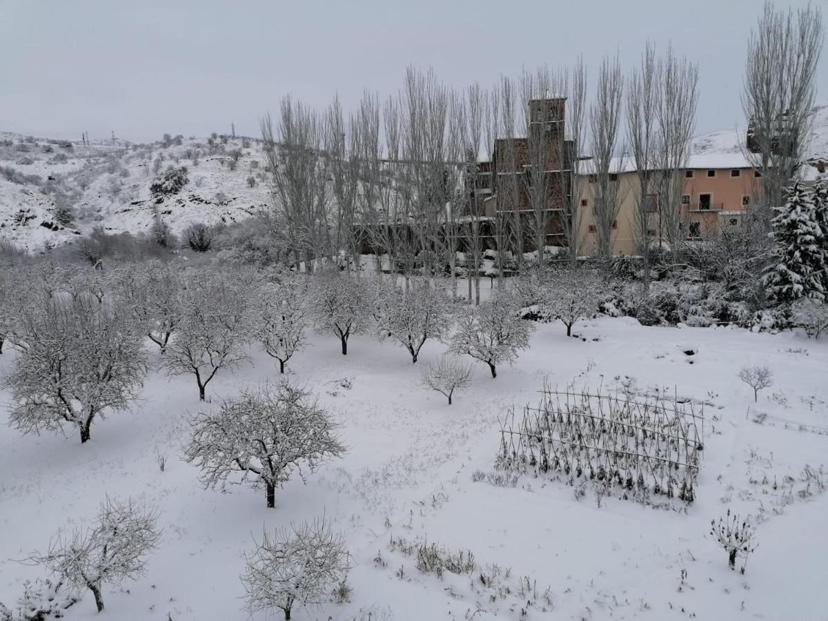 Apartamentos Rurales Camino Del Cid Castejón de las Armas 外观 照片