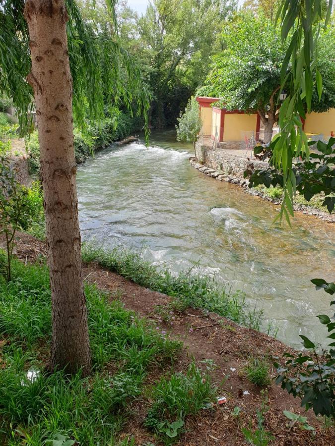 Apartamentos Rurales Camino Del Cid Castejón de las Armas 外观 照片