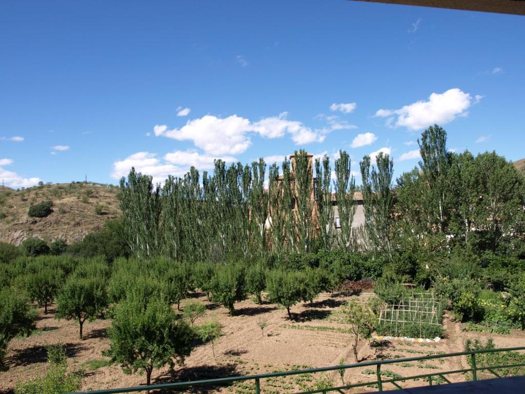 Apartamentos Rurales Camino Del Cid Castejón de las Armas 外观 照片