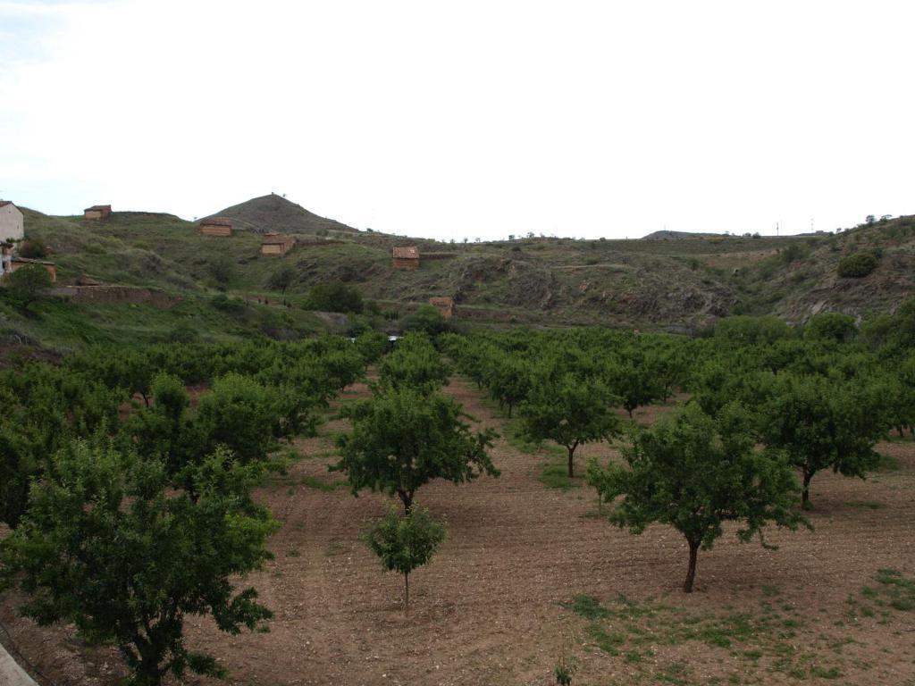 Apartamentos Rurales Camino Del Cid Castejón de las Armas 外观 照片